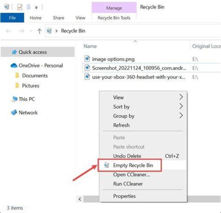The Recycle Bin Recycle Bin unityplayer.dll