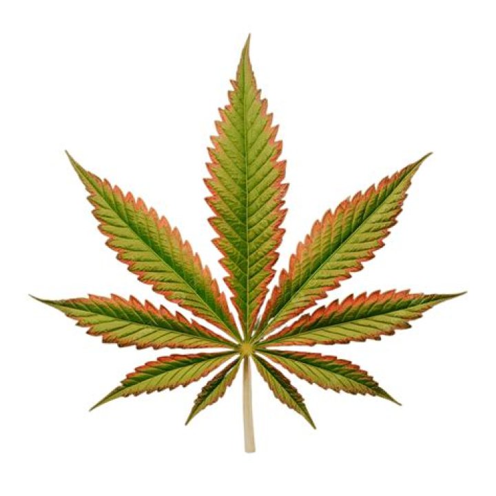 Remeyo weed.png
