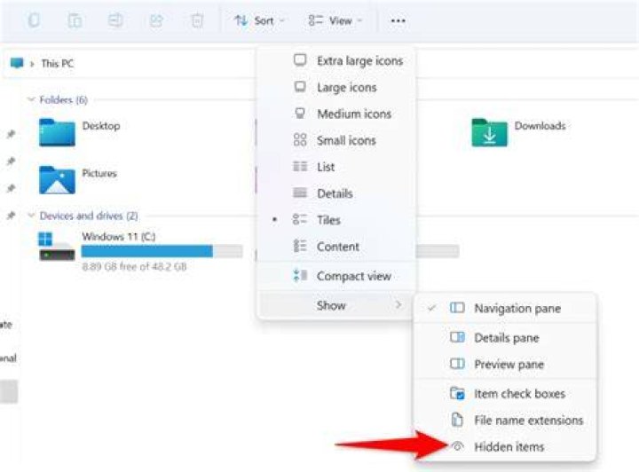 reveal hidden items file explorer