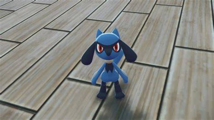 Riolu