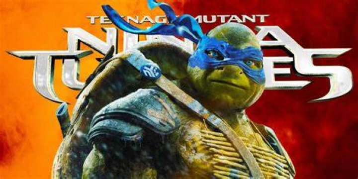 Roku Where Is The Fourth Ninja Turtle