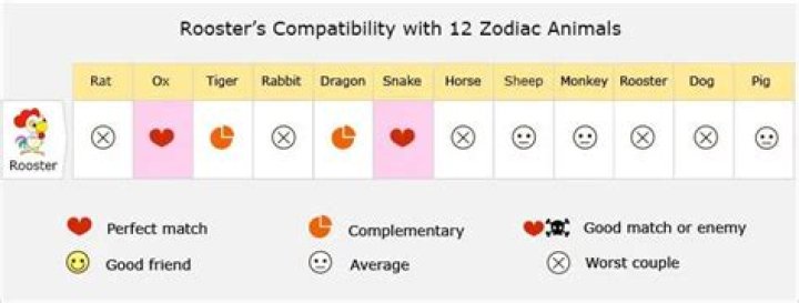 Rooster and Sheep compatibility