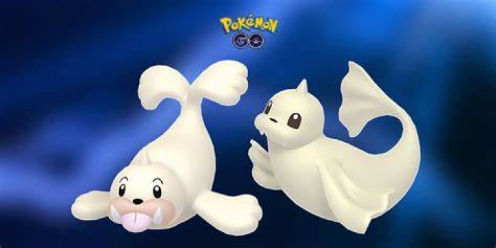 Seel