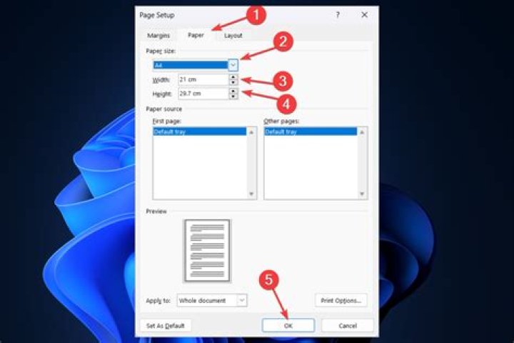 select your desired paper size