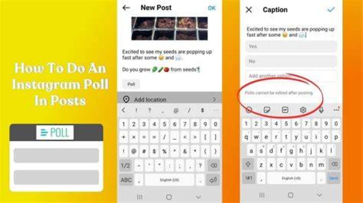 share your poll on Discord 1 share your poll on your server