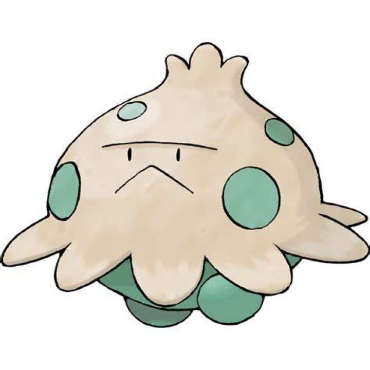 Shroomish
