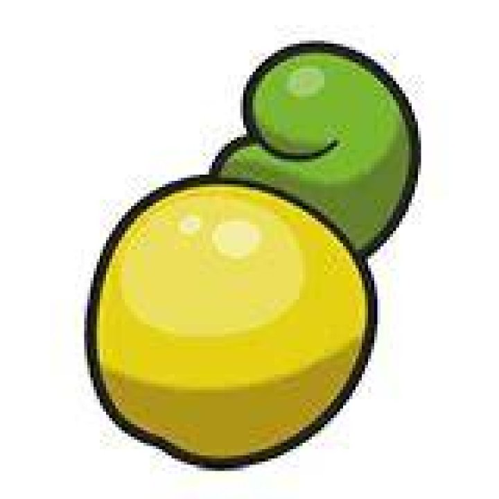 Shuca Berry