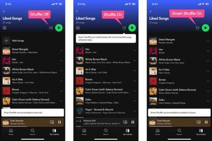 SpotiShuffleDesktopApp shuffle button location on Spotify desktop screenshot