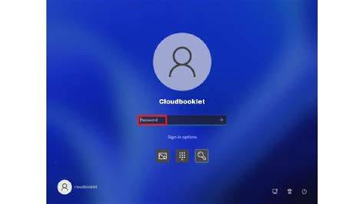Sign in options in Windows 11