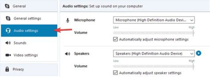 Skype audio output not working