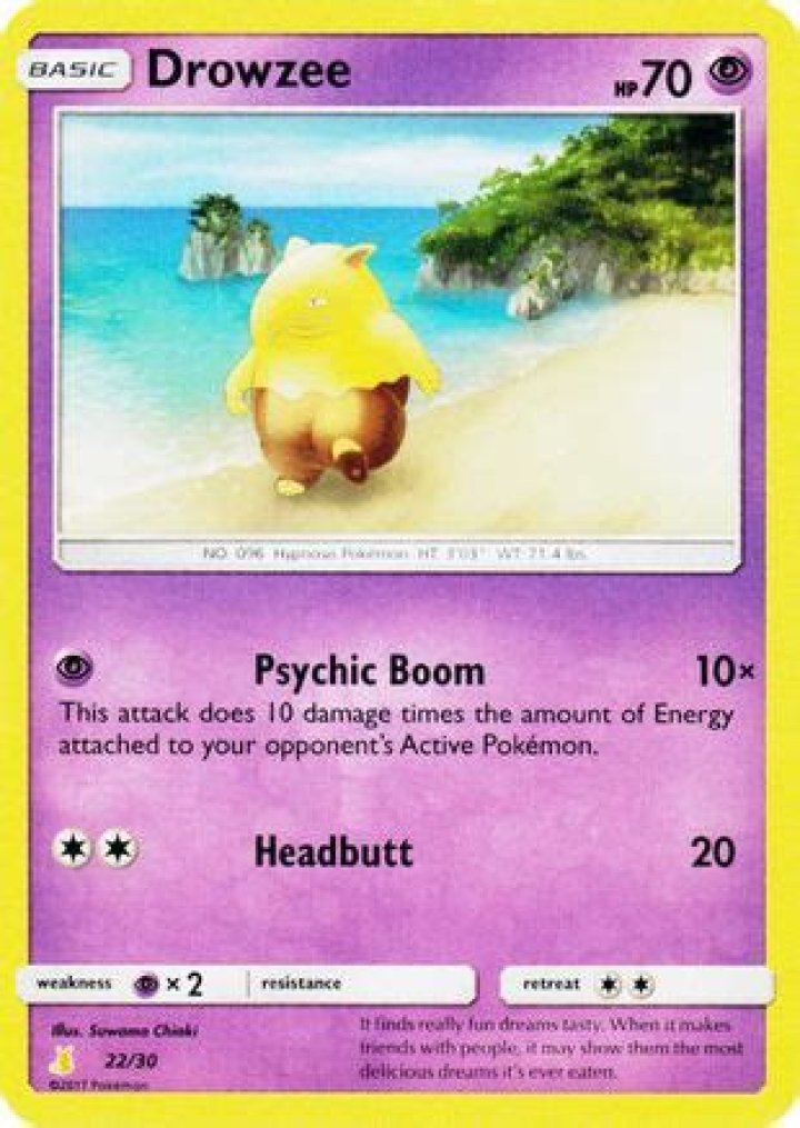 SM Trainer Kit Lycanroc & Alolan Raichu BR.png