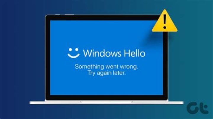 Something went wrong close Windows Hello error
