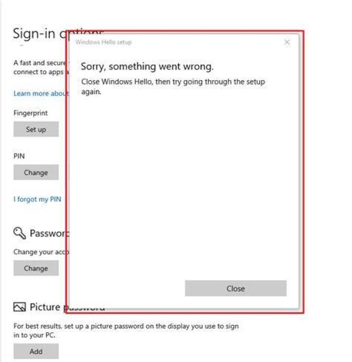 Something went wrong close Windows Hello