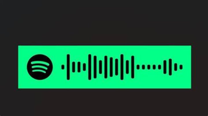 spotify code spotify code