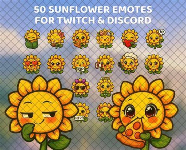 sunflower Twitch community sunflower Twitch community