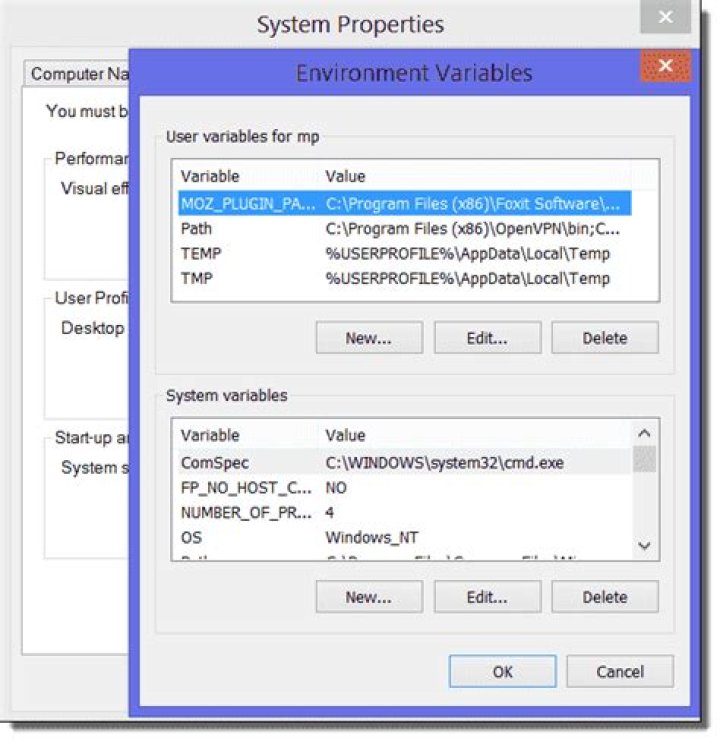 system properties environment variables
