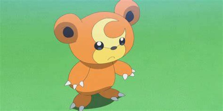 Teddiursa