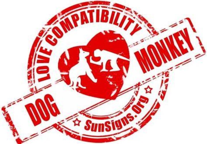 The Dog and Monkey compatibility is fiery but can sustain if both of them are ready to understand each other.
