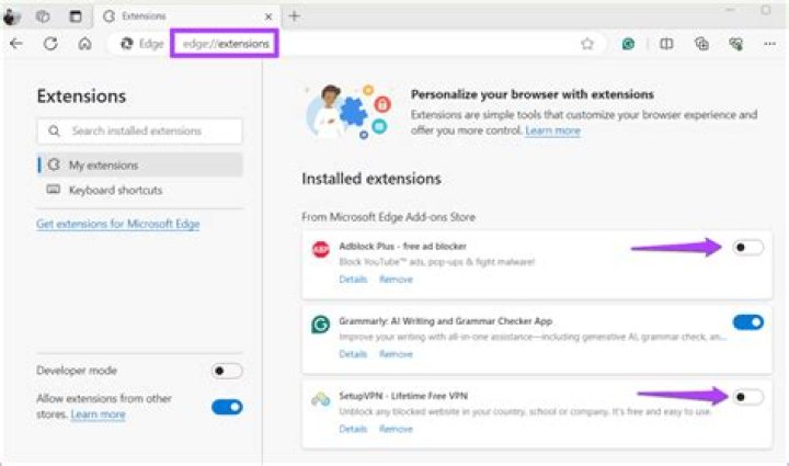 The Extensions tab in Chrome The Extensions tab use browser to open local file