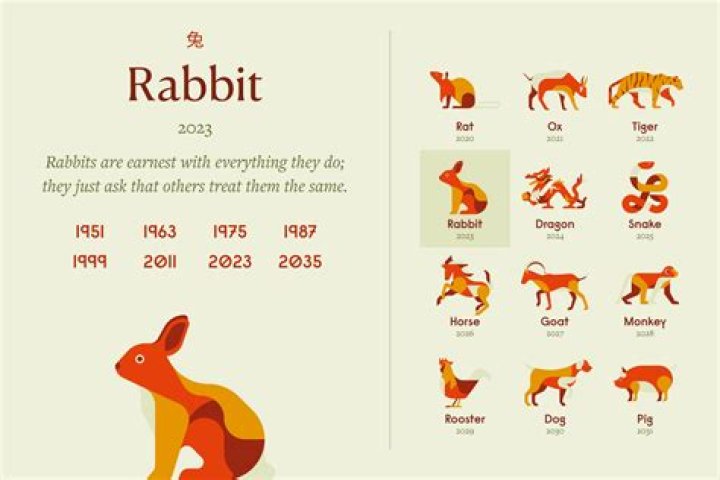 The Rabbit Rabbit relationship is one that could work.