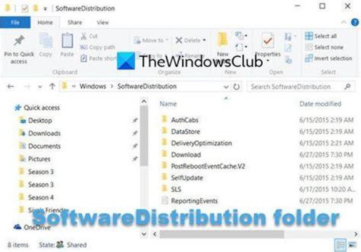 The SoftwareDistribution folder and Rename option The SoftwareDistribution folder Fix Error 0x800700d8 on Windows 10