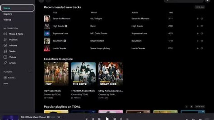 Tidal screenshot 2022 Tidal screenshot 2022