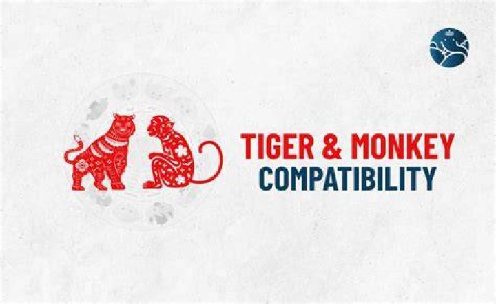 tiger monkey compatibility