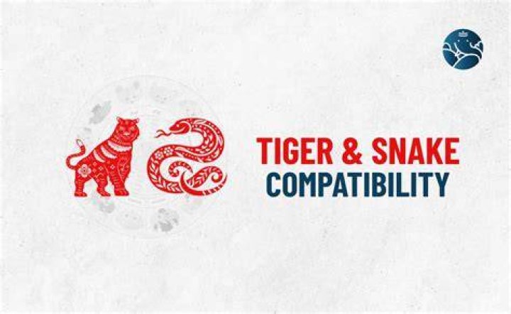 tiger snake compatibility