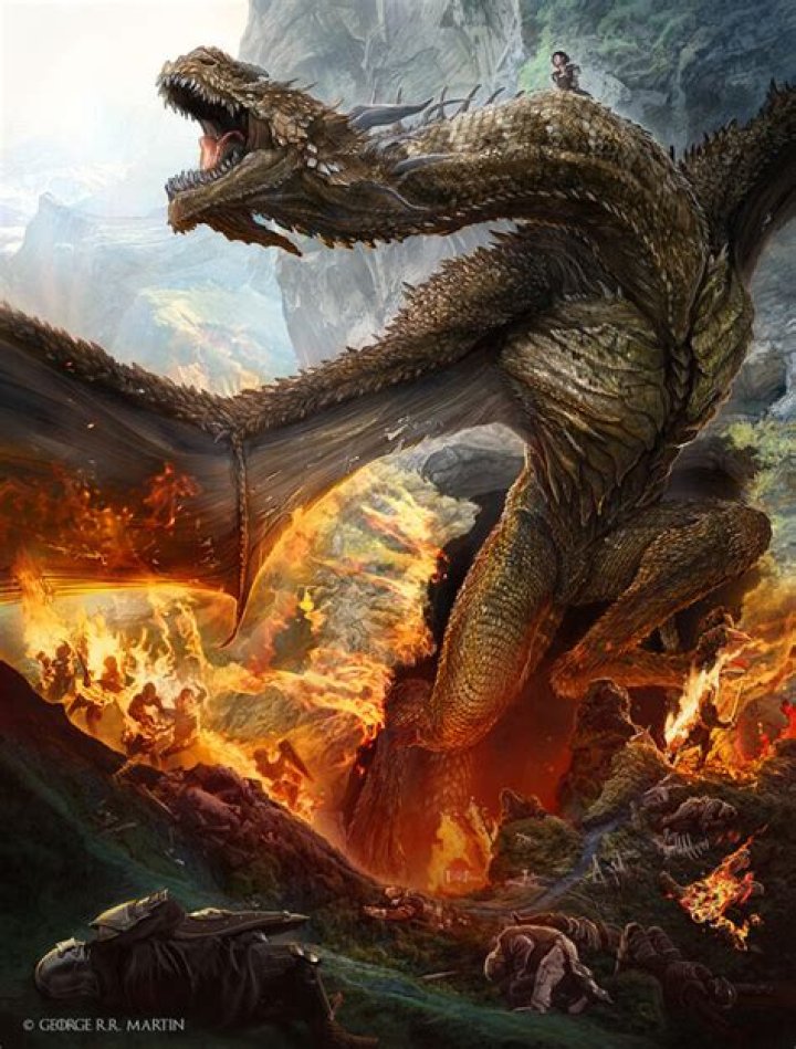 TM Dragon VI