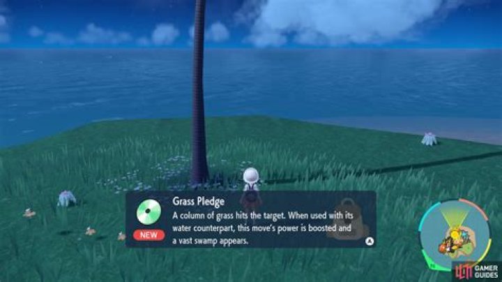 TM Grass