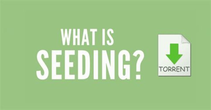 Torrent Seeding What Does It Mean