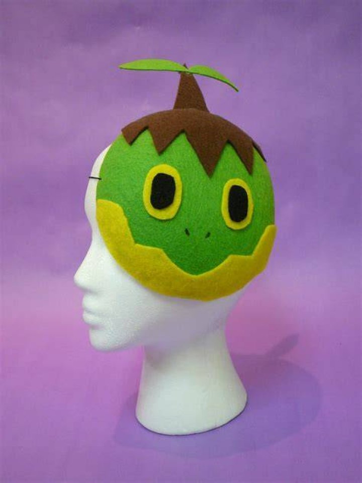 Turtwig Mask