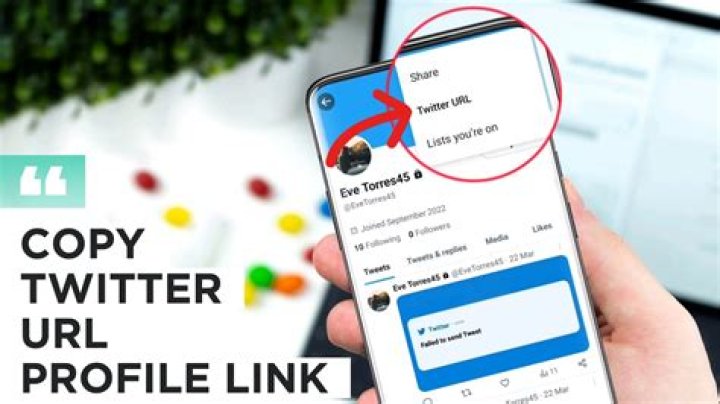 twitter url twitter url