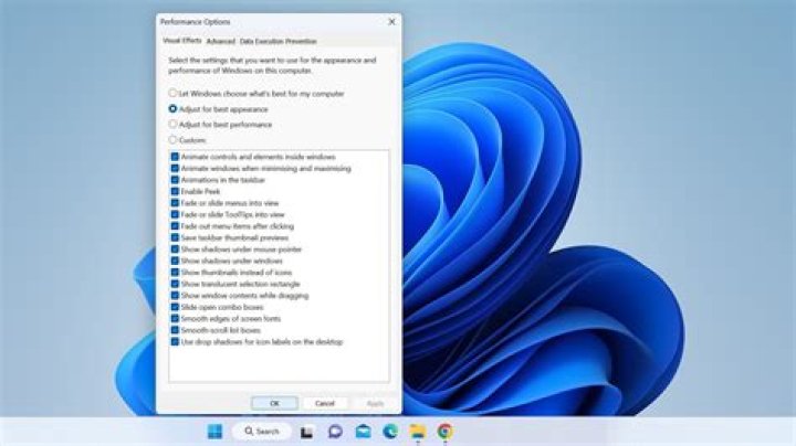 The Visual Effects tab Visual Effects tab windows 11 keeps freezing