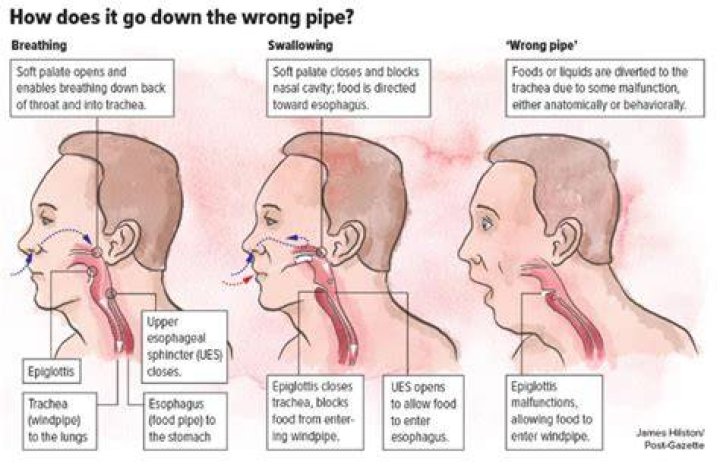 What Happens When Liquids Go Down The Wrong Pipe