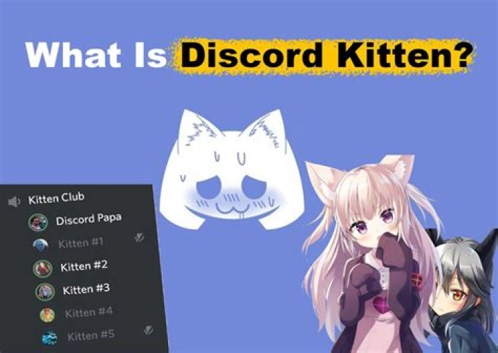 What Is Ice Checking Discord