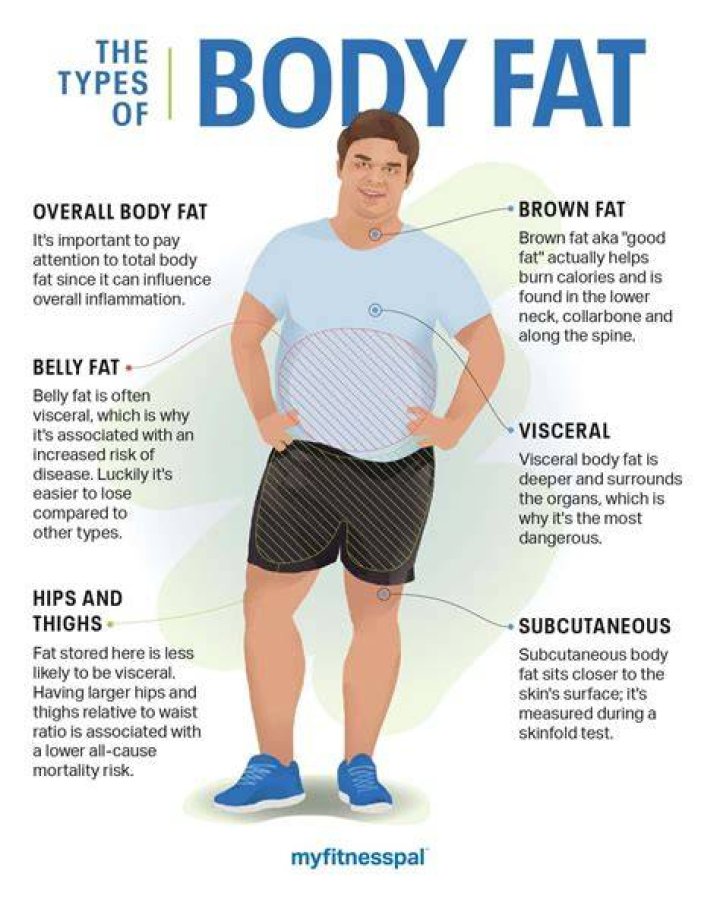 When You Burn Off That Fat, Where Does It Go?