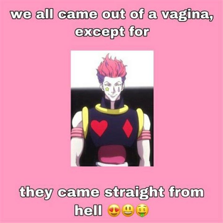Who Does Hisoka Marry