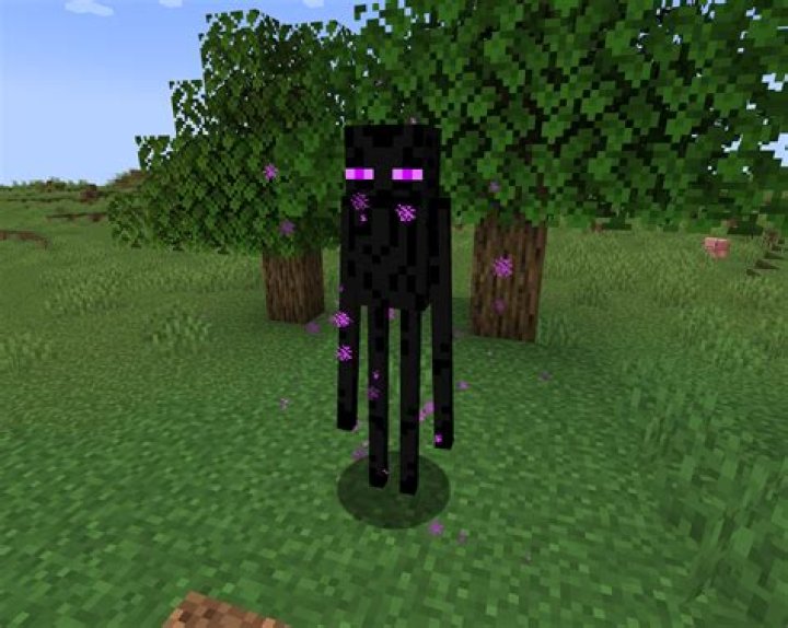Who Is Enderman