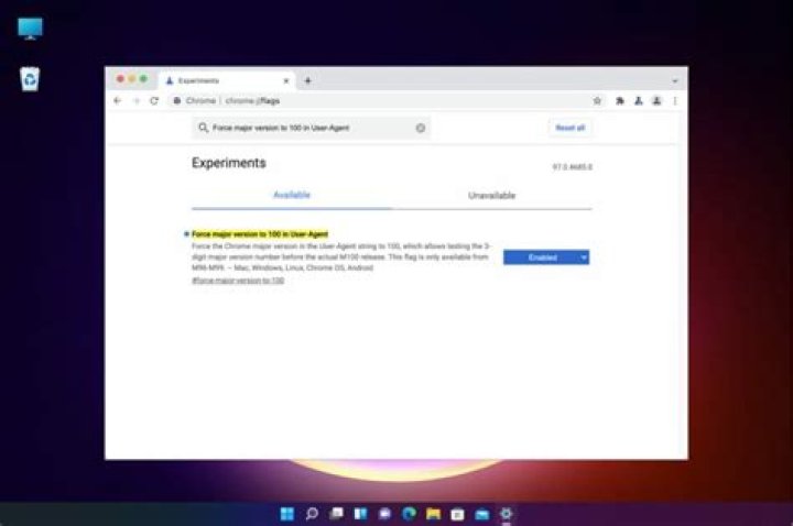 Will websites survive version 100’s additional browsers