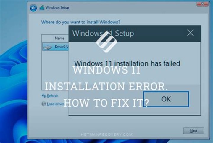 Windows 10/11 installation error 0x800700d [Easy Solutions]