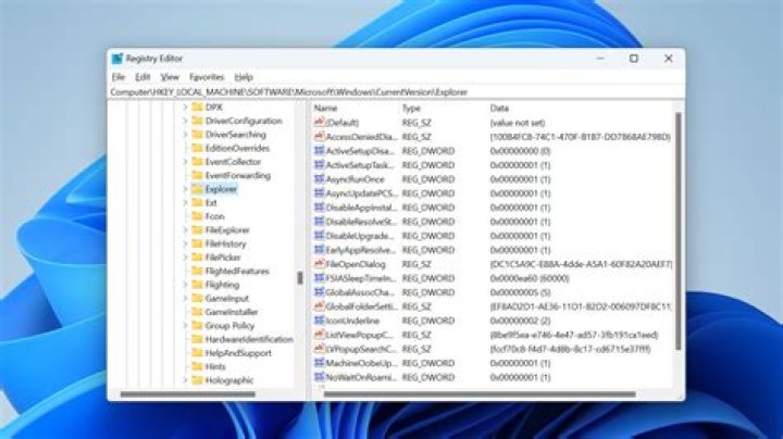 Windows 10 remove watermark registry