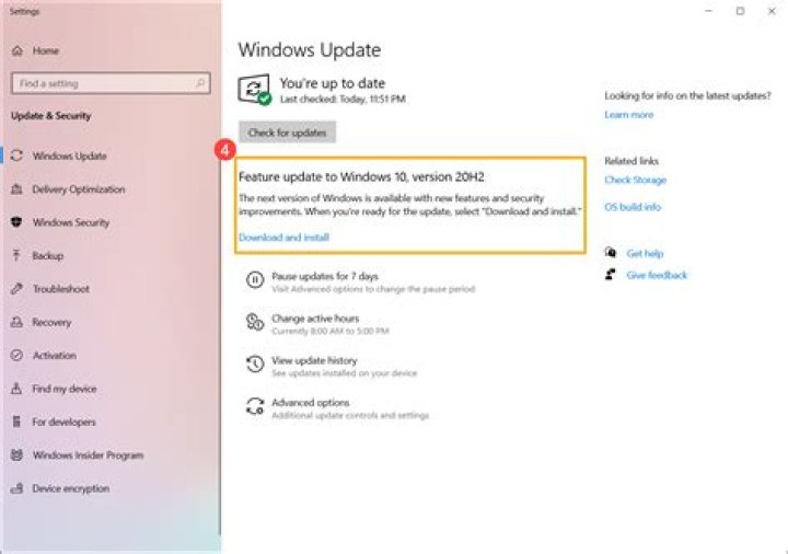 windows feature update