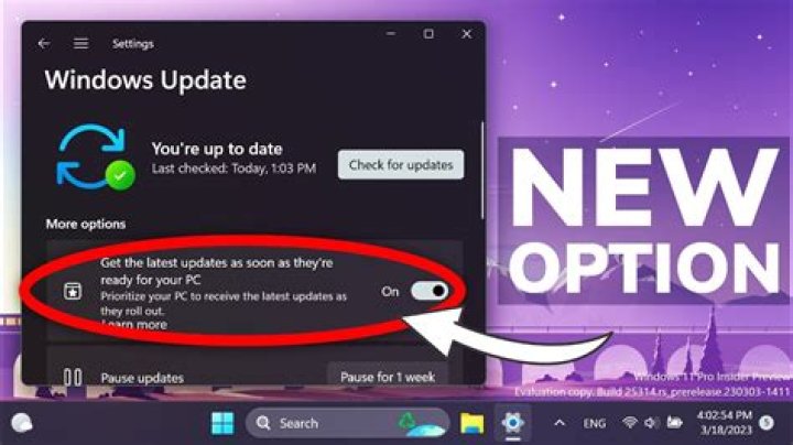 Windows Update option