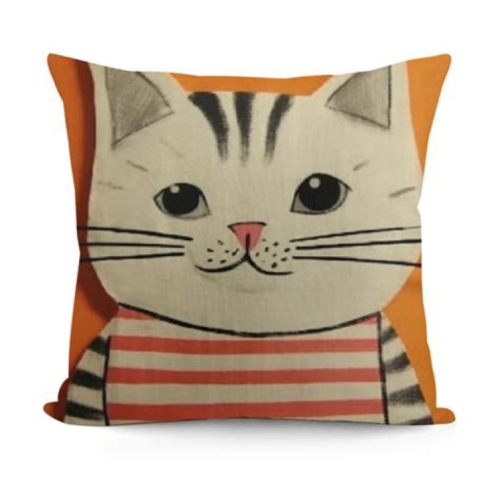 winking pillow case