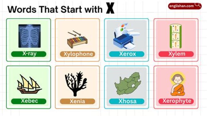 Words with EZ Cheat screenshot App Store Words with EZ Cheat App Store screenshot